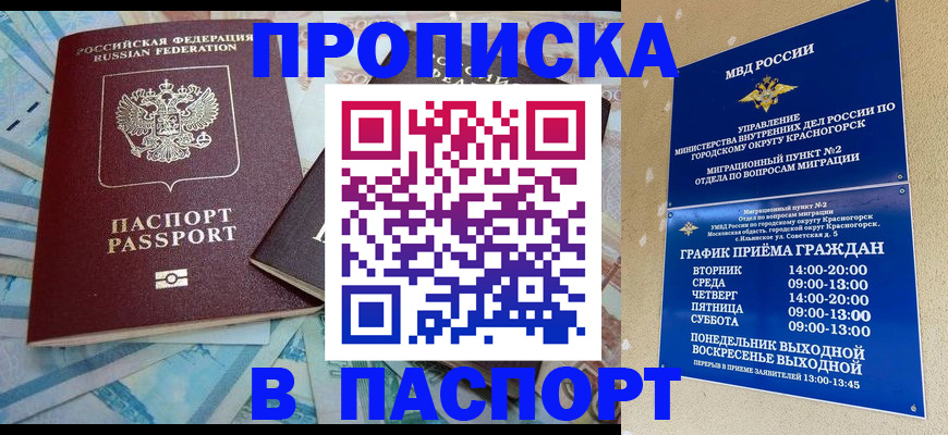 найти адрес прописки в Димитровграде